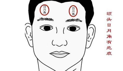 日角月角|面相中日月角的意义